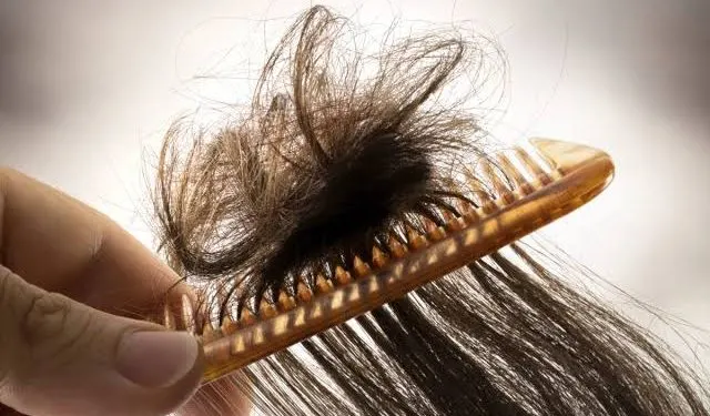 7 Tips Jitu Mengatasi Rambut Kusut dan Kering Agar Mudah Diatur