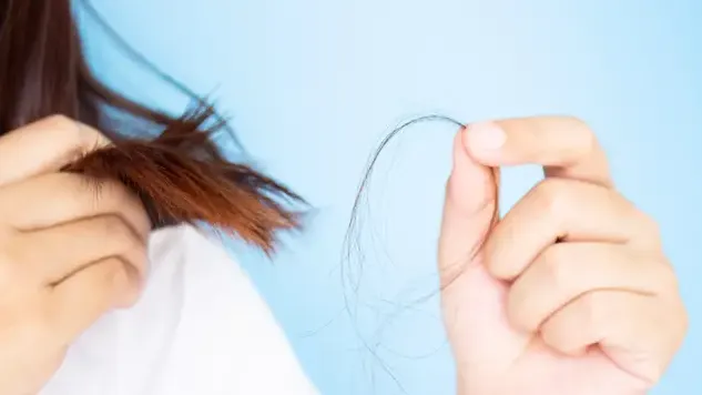 Rambut Patah di Tengah: Penyebab Utama dan Cara Efektif Mengatasinya