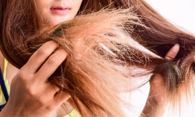 rambut kering dan bercabang