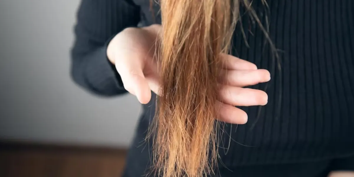 rambut bercabang